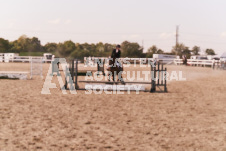 ete's Photography - Equine photography of various equine events at the Ancaster Fair including riding, driving, single carts and six draft horse hitches.