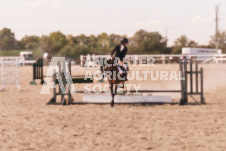 ete's Photography - Equine photography of various equine events at the Ancaster Fair including riding, driving, single carts and six draft horse hitches.