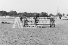 ete's Photography - Equine photography of various equine events at the Ancaster Fair including riding, driving, single carts and six draft horse hitches.