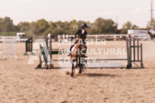 ete's Photography - Equine photography of various equine events at the Ancaster Fair including riding, driving, single carts and six draft horse hitches.