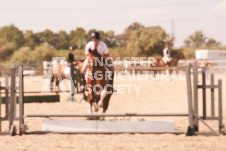 ete's Photography - Equine photography of various equine events at the Ancaster Fair including riding, driving, single carts and six draft horse hitches.