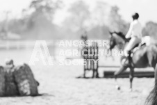 ete's Photography - Equine photography of various equine events at the Ancaster Fair including riding, driving, single carts and six draft horse hitches.