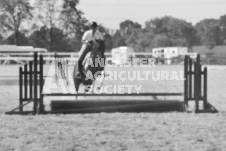 ete's Photography - Equine photography of various equine events at the Ancaster Fair including riding, driving, single carts and six draft horse hitches.