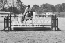 ete's Photography - Equine photography of various equine events at the Ancaster Fair including riding, driving, single carts and six draft horse hitches.