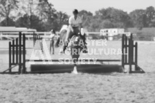 ete's Photography - Equine photography of various equine events at the Ancaster Fair including riding, driving, single carts and six draft horse hitches.