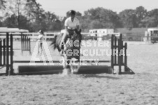 ete's Photography - Equine photography of various equine events at the Ancaster Fair including riding, driving, single carts and six draft horse hitches.