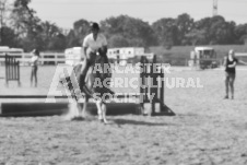 ete's Photography - Equine photography of various equine events at the Ancaster Fair including riding, driving, single carts and six draft horse hitches.