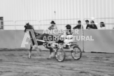 ete's Photography - Equine photography of various equine events at the Ancaster Fair including riding, driving, single carts and six draft horse hitches.