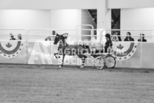 ete's Photography - Equine photography of various equine events at the Ancaster Fair including riding, driving, single carts and six draft horse hitches.