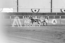 ete's Photography - Equine photography of various equine events at the Ancaster Fair including riding, driving, single carts and six draft horse hitches.