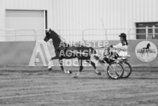 ete's Photography - Equine photography of various equine events at the Ancaster Fair including riding, driving, single carts and six draft horse hitches.