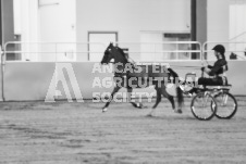 ete's Photography - Equine photography of various equine events at the Ancaster Fair including riding, driving, single carts and six draft horse hitches.