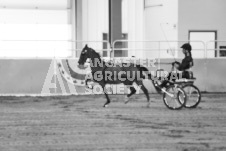 ete's Photography - Equine photography of various equine events at the Ancaster Fair including riding, driving, single carts and six draft horse hitches.