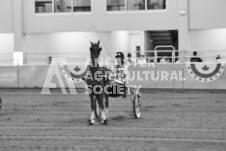 ete's Photography - Equine photography of various equine events at the Ancaster Fair including riding, driving, single carts and six draft horse hitches.