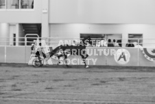 ete's Photography - Equine photography of various equine events at the Ancaster Fair including riding, driving, single carts and six draft horse hitches.