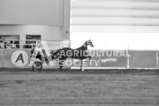 ete's Photography - Equine photography of various equine events at the Ancaster Fair including riding, driving, single carts and six draft horse hitches.