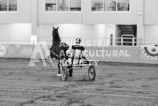 ete's Photography - Equine photography of various equine events at the Ancaster Fair including riding, driving, single carts and six draft horse hitches.