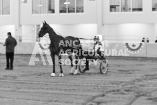 ete's Photography - Equine photography of various equine events at the Ancaster Fair including riding, driving, single carts and six draft horse hitches.