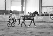 ete's Photography - Equine photography of various equine events at the Ancaster Fair including riding, driving, single carts and six draft horse hitches.