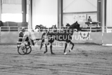 ete's Photography - Equine photography of various equine events at the Ancaster Fair including riding, driving, single carts and six draft horse hitches.