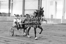 ete's Photography - Equine photography of various equine events at the Ancaster Fair including riding, driving, single carts and six draft horse hitches.