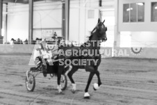 ete's Photography - Equine photography of various equine events at the Ancaster Fair including riding, driving, single carts and six draft horse hitches.