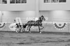 ete's Photography - Equine photography of various equine events at the Ancaster Fair including riding, driving, single carts and six draft horse hitches.