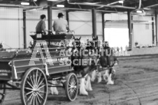 ete's Photography - Equine photography of various equine events at the Ancaster Fair including riding, driving, single carts and six draft horse hitches.