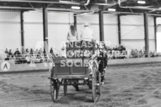 ete's Photography - Equine photography of various equine events at the Ancaster Fair including riding, driving, single carts and six draft horse hitches.