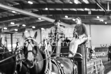 ete's Photography - Equine photography of various equine events at the Ancaster Fair including riding, driving, single carts and six draft horse hitches.