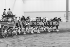 ete's Photography - Equine photography of various equine events at the Ancaster Fair including riding, driving, single carts and six draft horse hitches.