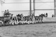 ete's Photography - Equine photography of various equine events at the Ancaster Fair including riding, driving, single carts and six draft horse hitches.