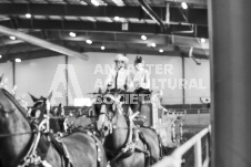 ete's Photography - Equine photography of various equine events at the Ancaster Fair including riding, driving, single carts and six draft horse hitches.