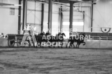 ete's Photography - Equine photography of various equine events at the Ancaster Fair including riding, driving, single carts and six draft horse hitches.