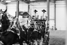 ete's Photography - Equine photography of various equine events at the Ancaster Fair including riding, driving, single carts and six draft horse hitches.