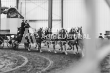 ete's Photography - Equine photography of various equine events at the Ancaster Fair including riding, driving, single carts and six draft horse hitches.