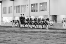 ete's Photography - Equine photography of various equine events at the Ancaster Fair including riding, driving, single carts and six draft horse hitches.