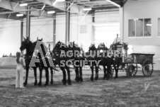 ete's Photography - Equine photography of various equine events at the Ancaster Fair including riding, driving, single carts and six draft horse hitches.