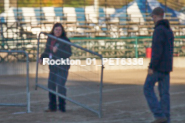 Equestrian photos by Pete's Photography of the 2024 Rockton World's Fair Equestrian Hunter Jumper series held in Rockton, Ontario, Canada.