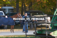 Equestrian photos by Pete's Photography of the 2024 Rockton World's Fair Equestrian Hunter Jumper series held in Rockton, Ontario, Canada.