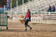 Equestrian photos by Pete's Photography of the 2024 Rockton World's Fair Equestrian Hunter Jumper series held in Rockton, Ontario, Canada.