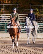 Equestrian photos by Pete's Photography of the 2024 Rockton World's Fair Equestrian Hunter Jumper series held in Rockton, Ontario, Canada.