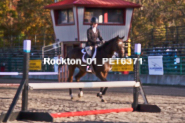 Equestrian photos by Pete's Photography of the 2024 Rockton World's Fair Equestrian Hunter Jumper series held in Rockton, Ontario, Canada.