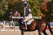 Equestrian photos by Pete's Photography of the 2024 Rockton World's Fair Equestrian Hunter Jumper series held in Rockton, Ontario, Canada.