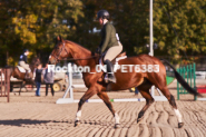 Equestrian photos by Pete's Photography of the 2024 Rockton World's Fair Equestrian Hunter Jumper series held in Rockton, Ontario, Canada.