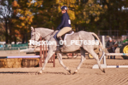 Equestrian photos by Pete's Photography of the 2024 Rockton World's Fair Equestrian Hunter Jumper series held in Rockton, Ontario, Canada.