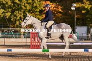 Equestrian photos by Pete's Photography of the 2024 Rockton World's Fair Equestrian Hunter Jumper series held in Rockton, Ontario, Canada.