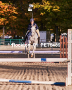 Equestrian photos by Pete's Photography of the 2024 Rockton World's Fair Equestrian Hunter Jumper series held in Rockton, Ontario, Canada.