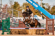 Equestrian photos by Pete's Photography of the 2024 Rockton World's Fair Equestrian Hunter Jumper series held in Rockton, Ontario, Canada.