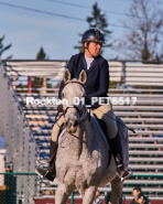 Equestrian photos by Pete's Photography of the 2024 Rockton World's Fair Equestrian Hunter Jumper series held in Rockton, Ontario, Canada.